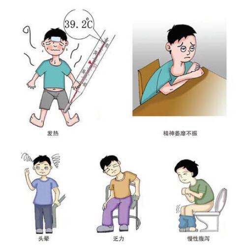 图3 急性血吸虫病症状与体征.jpg